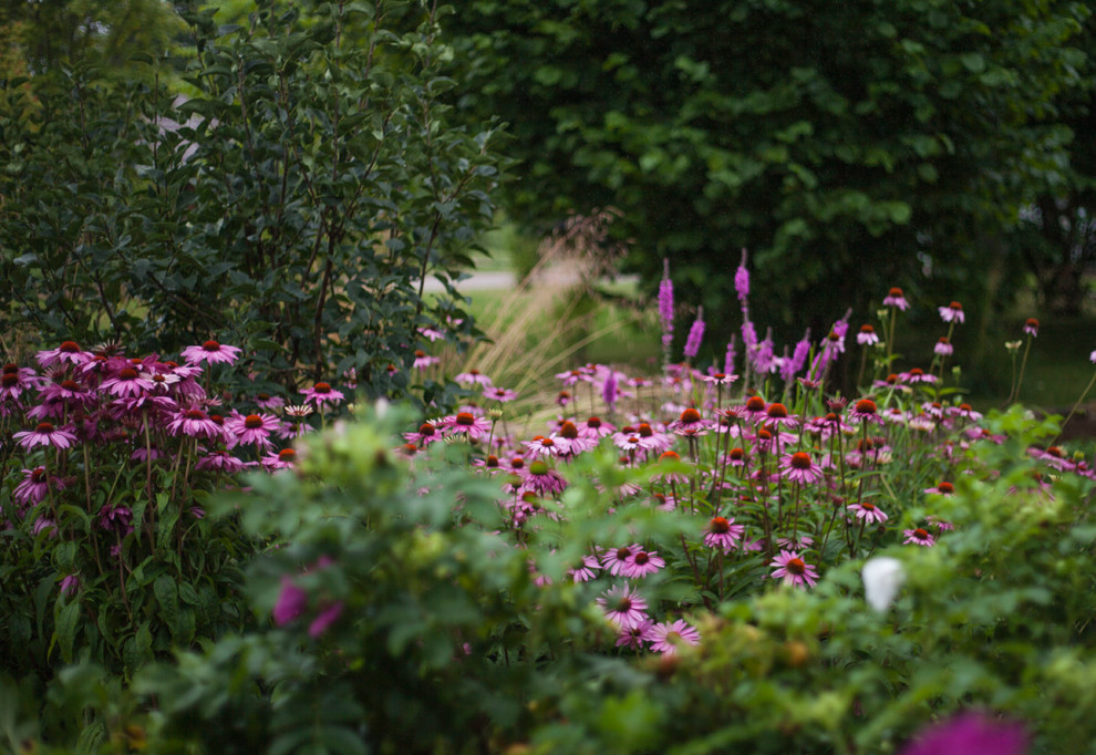 Обитель ветров, сад в Тверской области