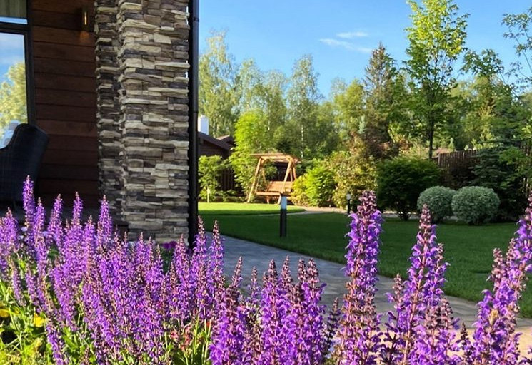 Обложка проекта: Максим и Наталья