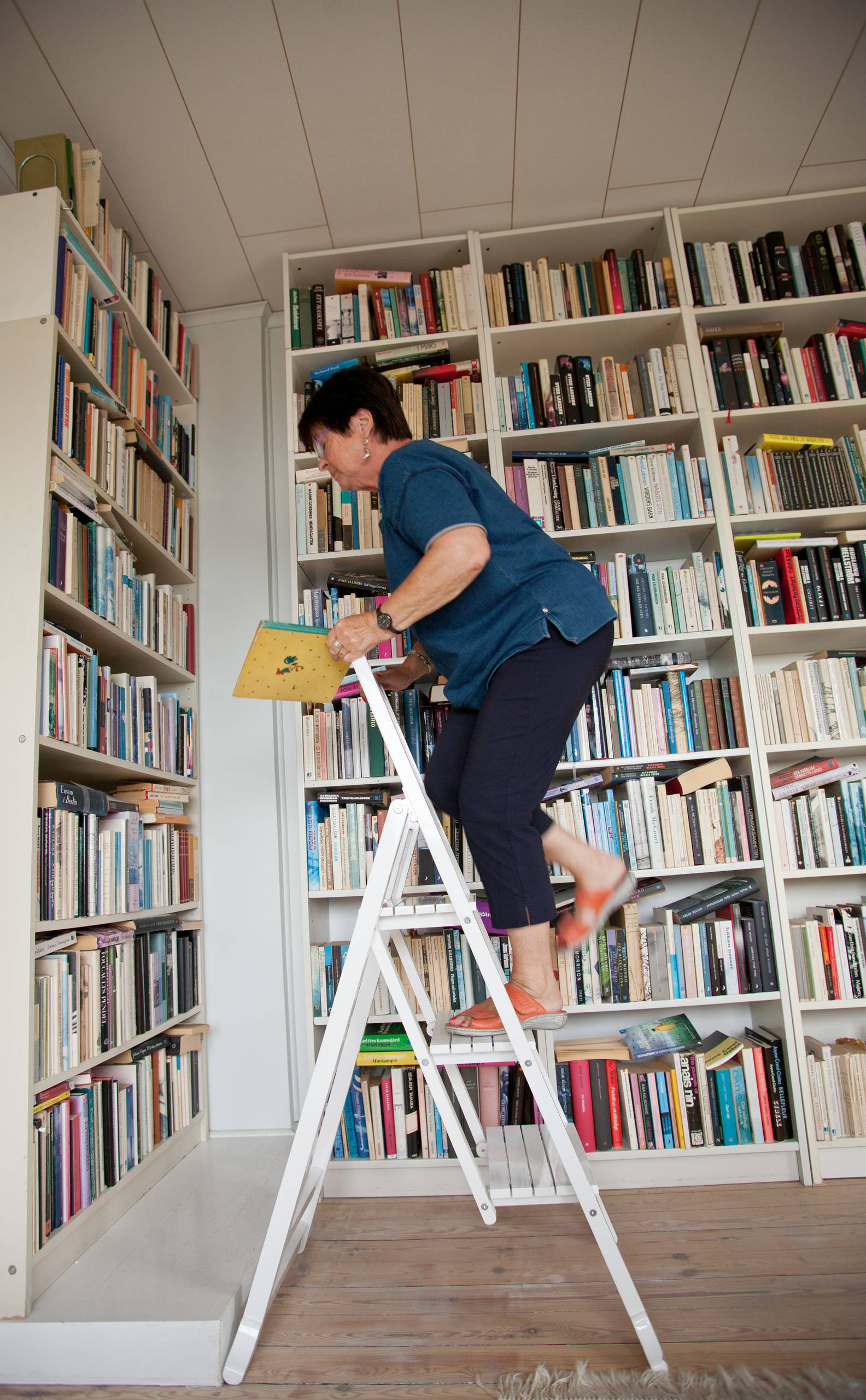 Мир дизайна: Книголюбы и места их обитания