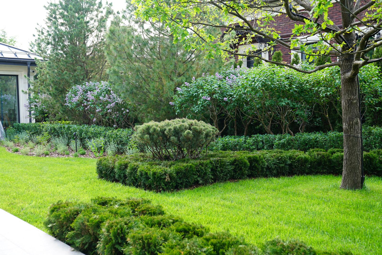 Обложка проекта: Английский сад. КП Ренессанс Парк. 20 соток.  2022г