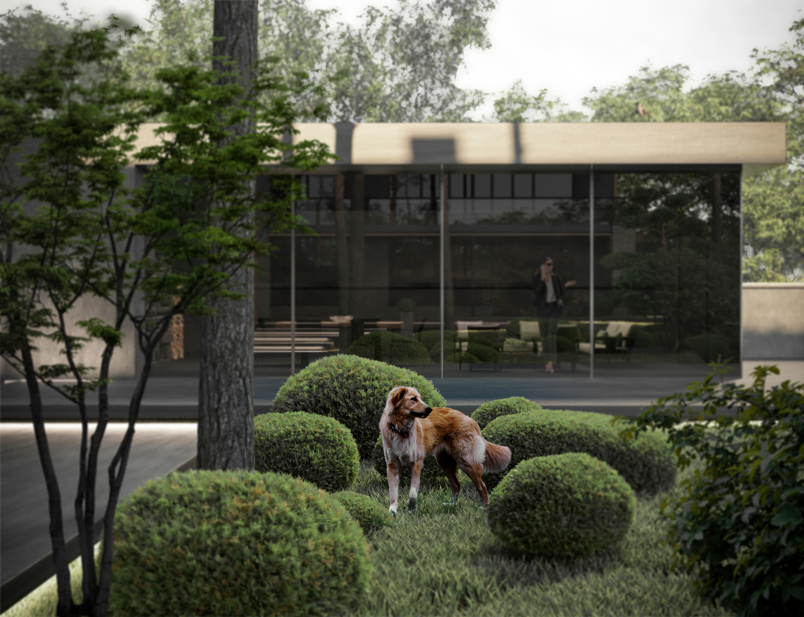 Обложка проекта: Дом на Рублевке