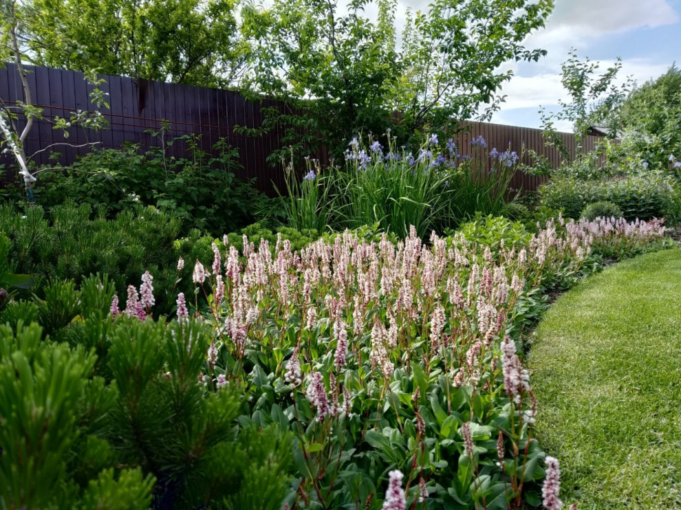 Сад в розовой дымке