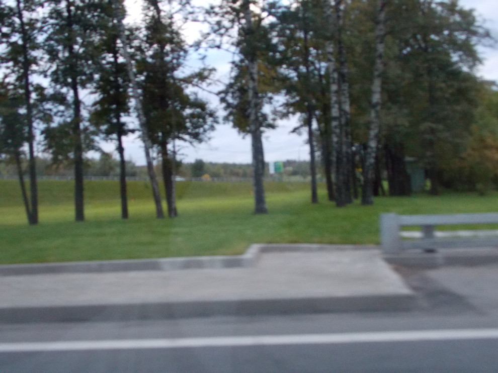 Осенние газонные травосмеси Канада Грин.