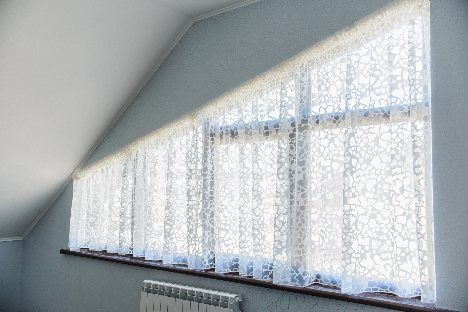 Светлана Попова