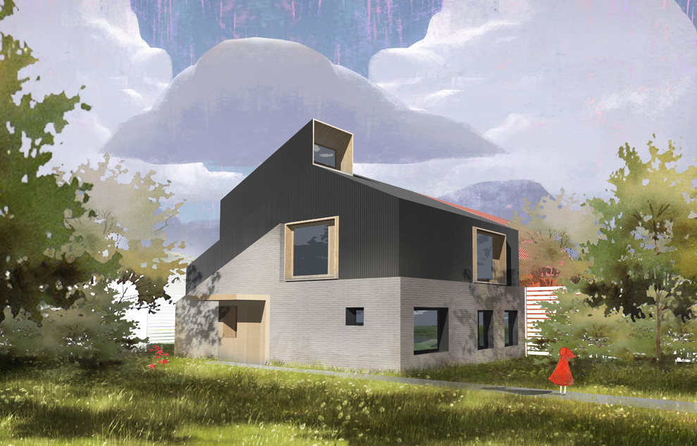 Обложка проекта: Реконструкция дома в Сходне