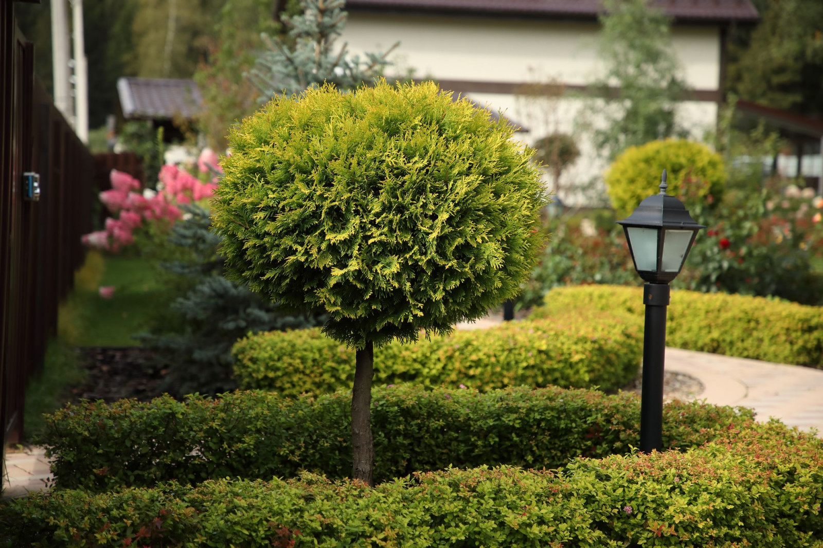 КП Никольское Лесное. Ландшафт, Автоматический полив. Беседка.