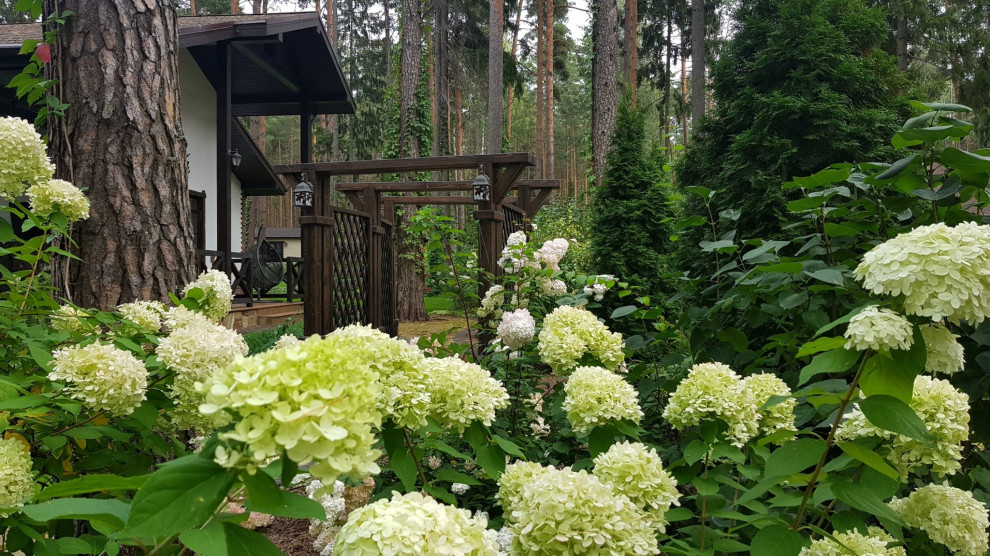 «Пряничный домик» в сосновом бору