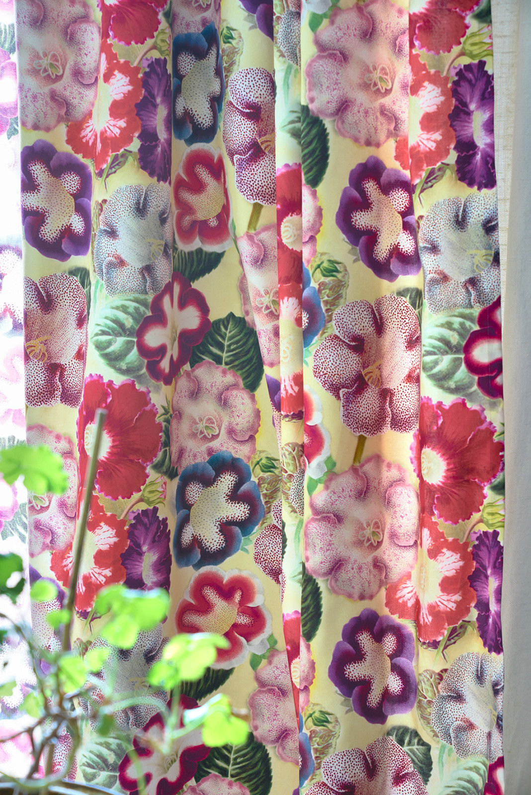 John Derian для Designers Guild