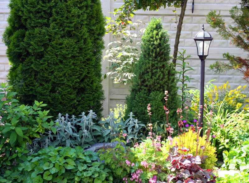 Английский сад