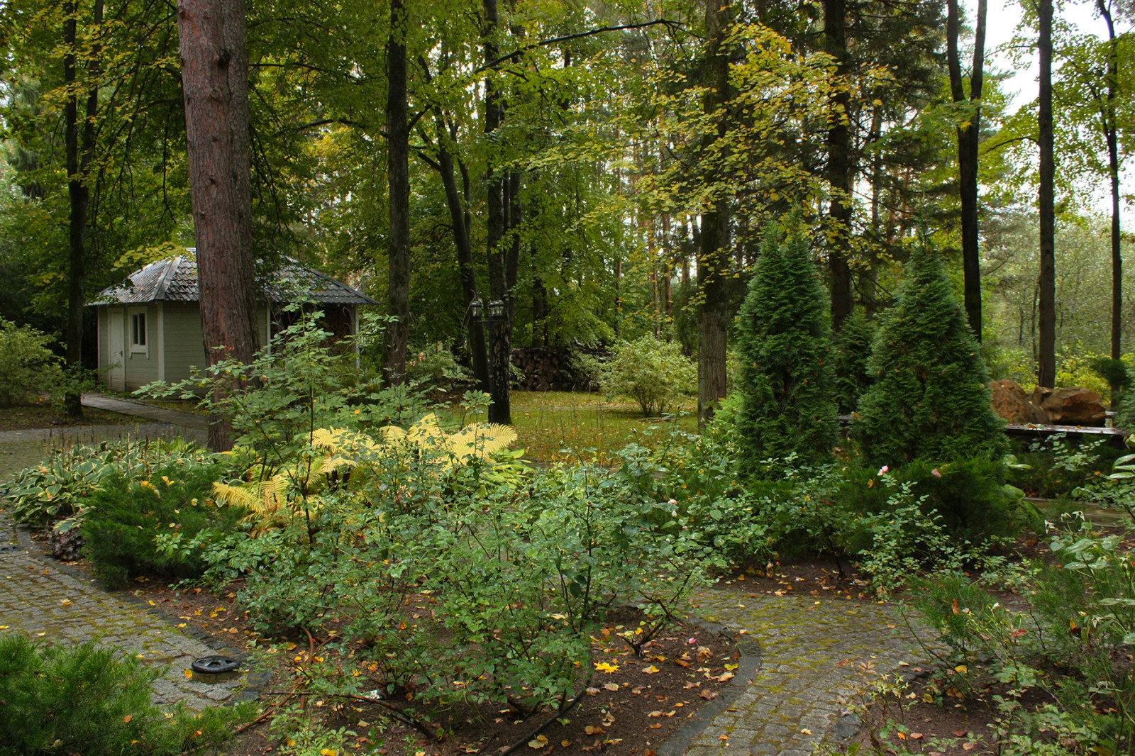 Ландшафтный проект лесного участка - садовые дорожки и цветники.