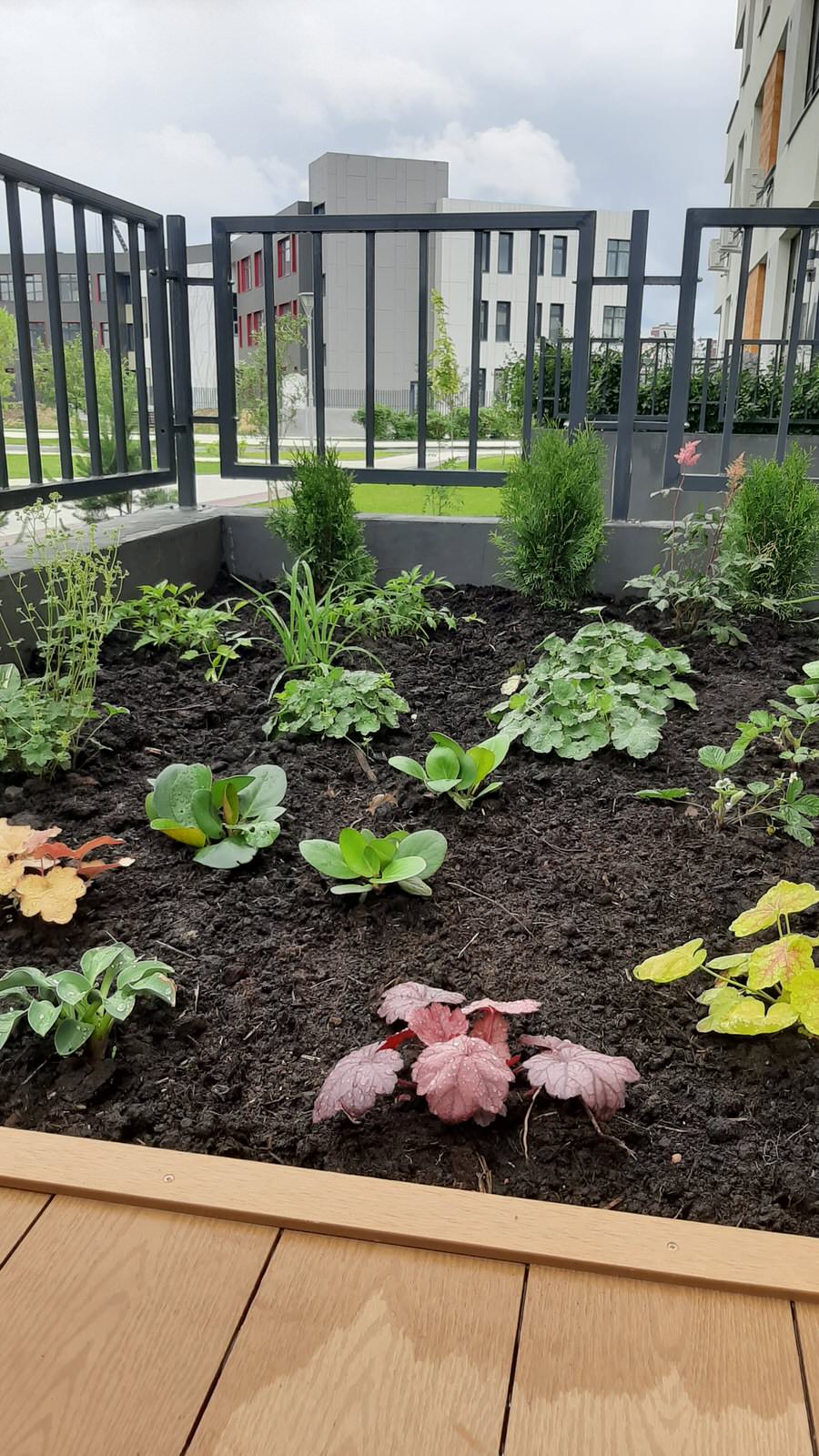 ЖК Ожогино, 2022