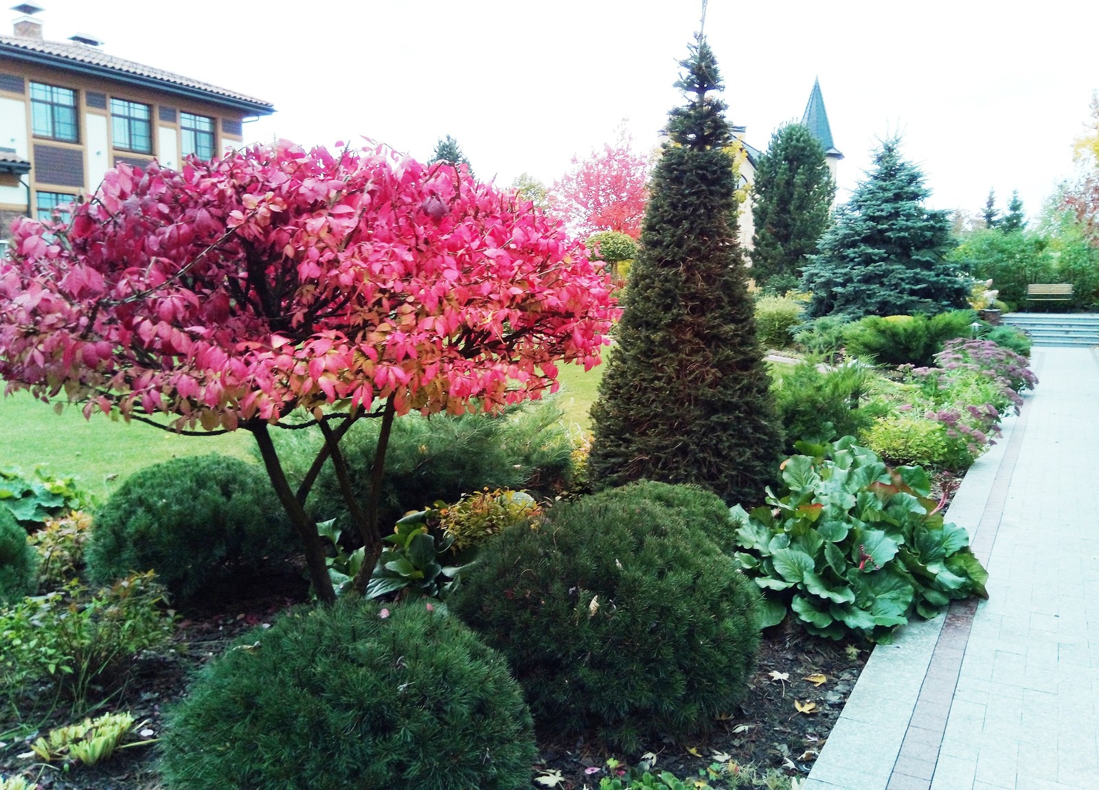 кп "Милениум" - Профессиональный уход за садом - 100% качество!