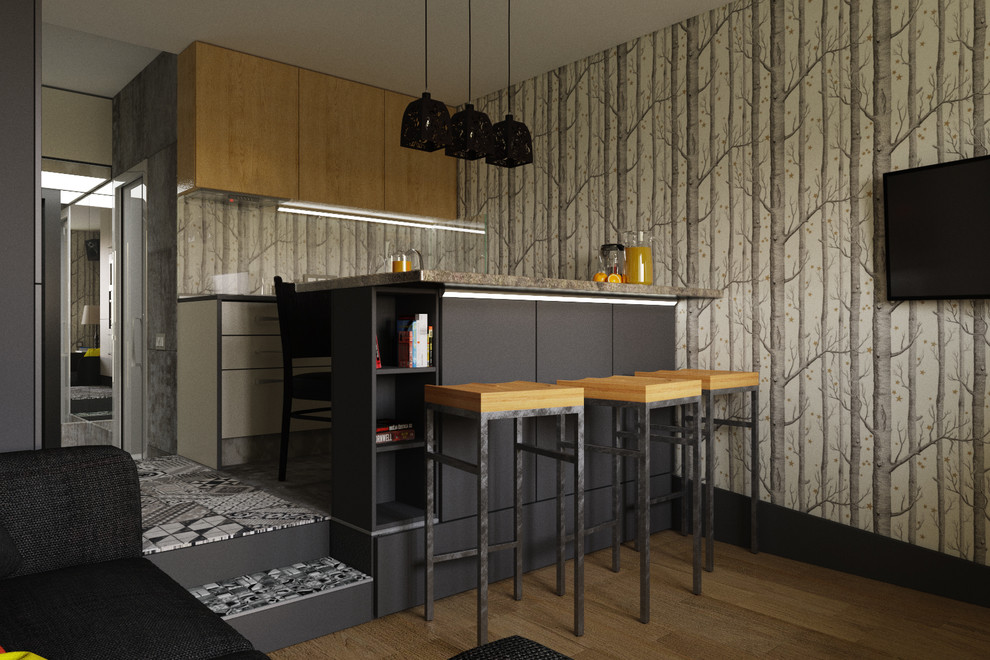 Студия для гостеприимного молодого холостяка