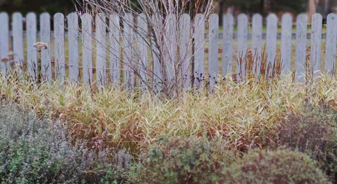 Проект "Волга"