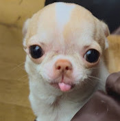 Дарья Никитична