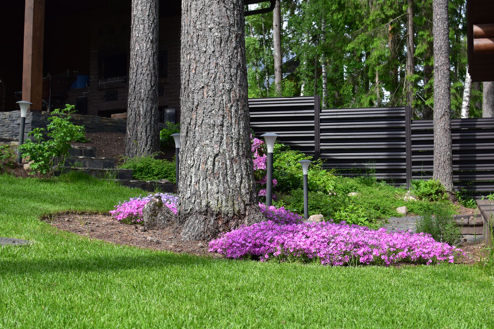 Сад в Карельском лесу