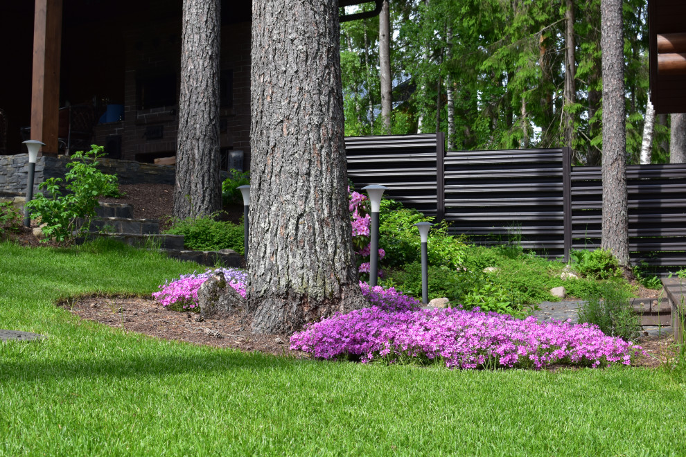 Сад в Карельском лесу