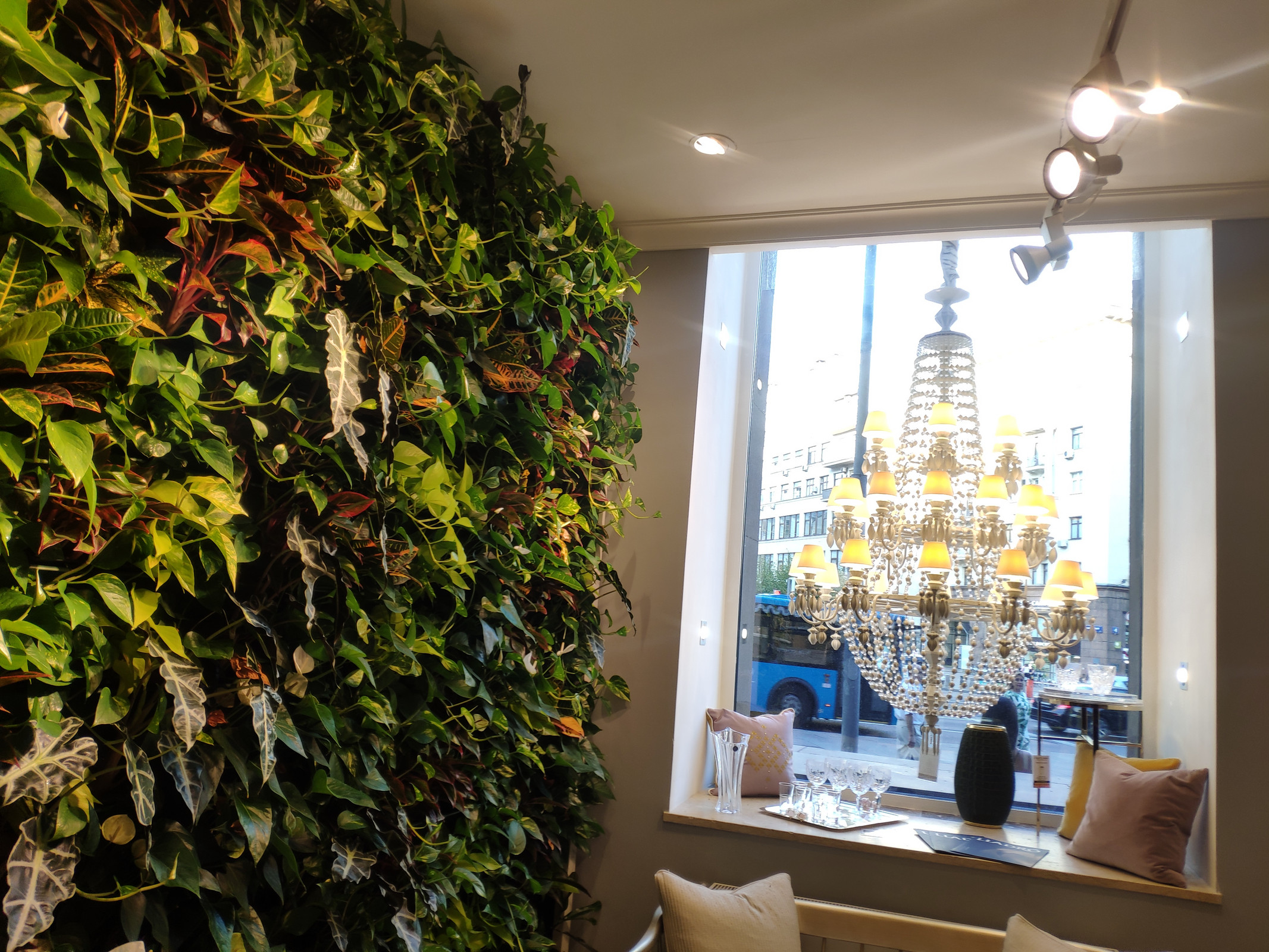 Вертикальный сад фитостена