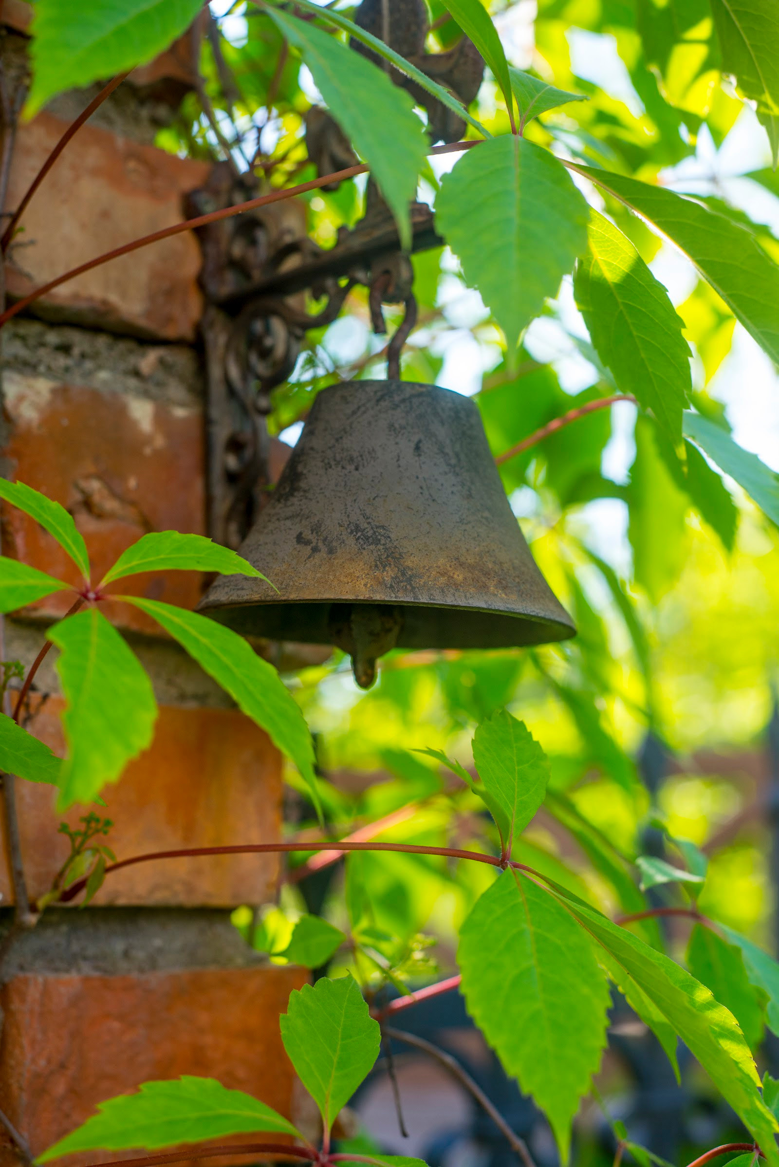 Проект недели: Маленький садик в рустикальном стиле в Калининграде