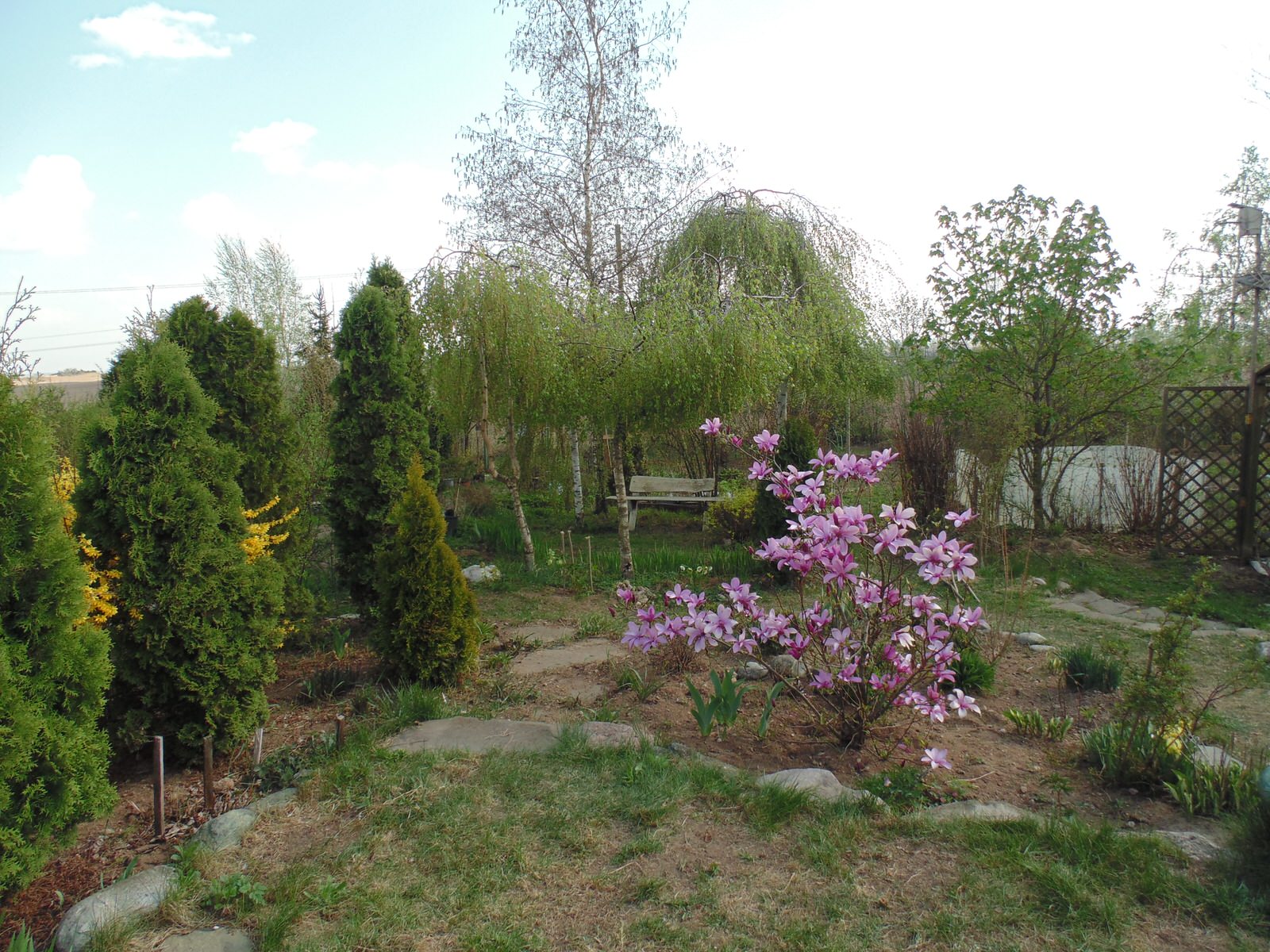 Наш собственный сад