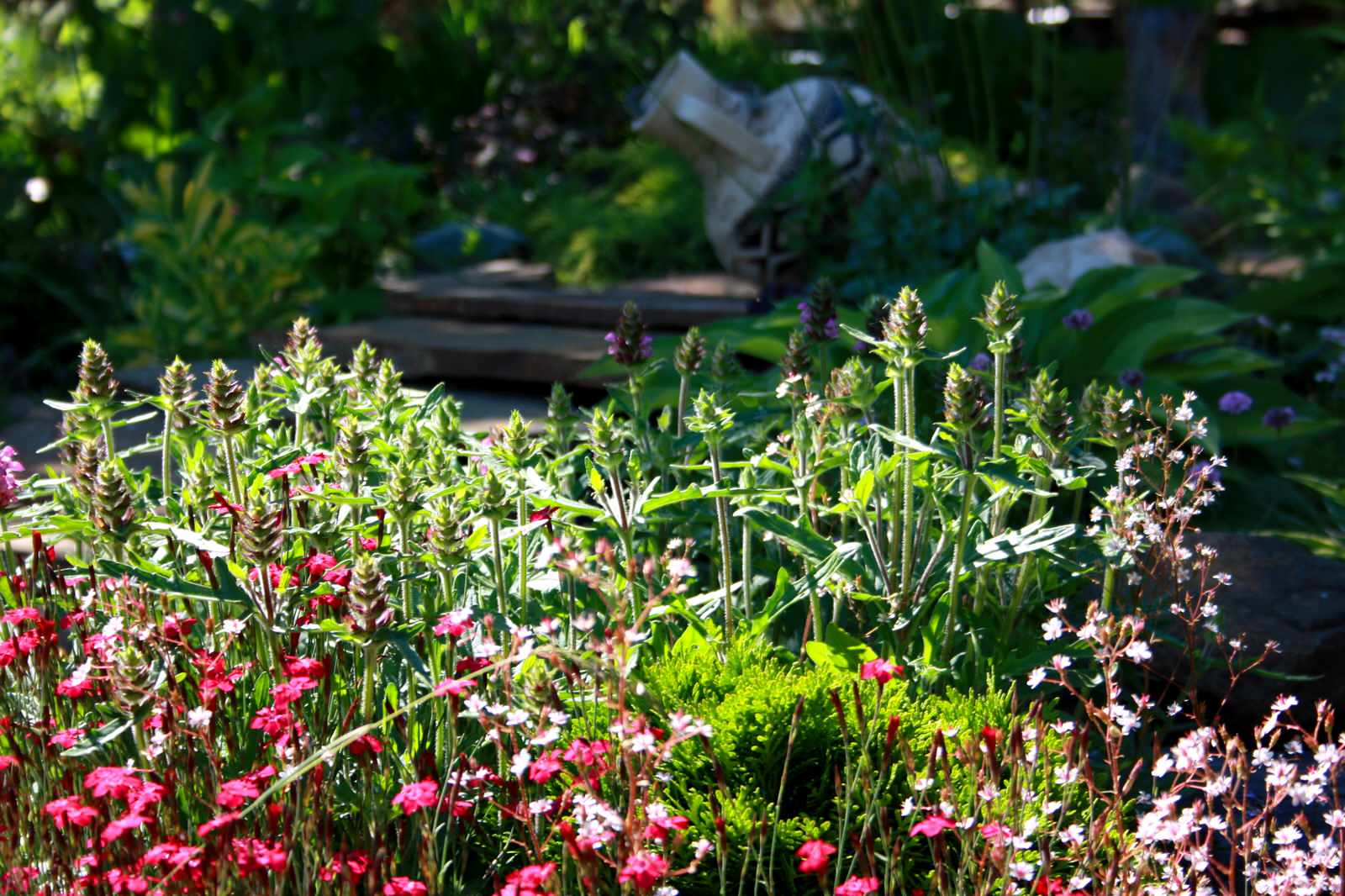 Обложка проекта: Альпинарий