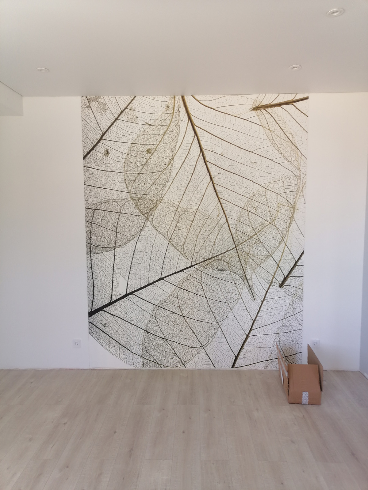 Обложка проекта: Отделочные работы 2