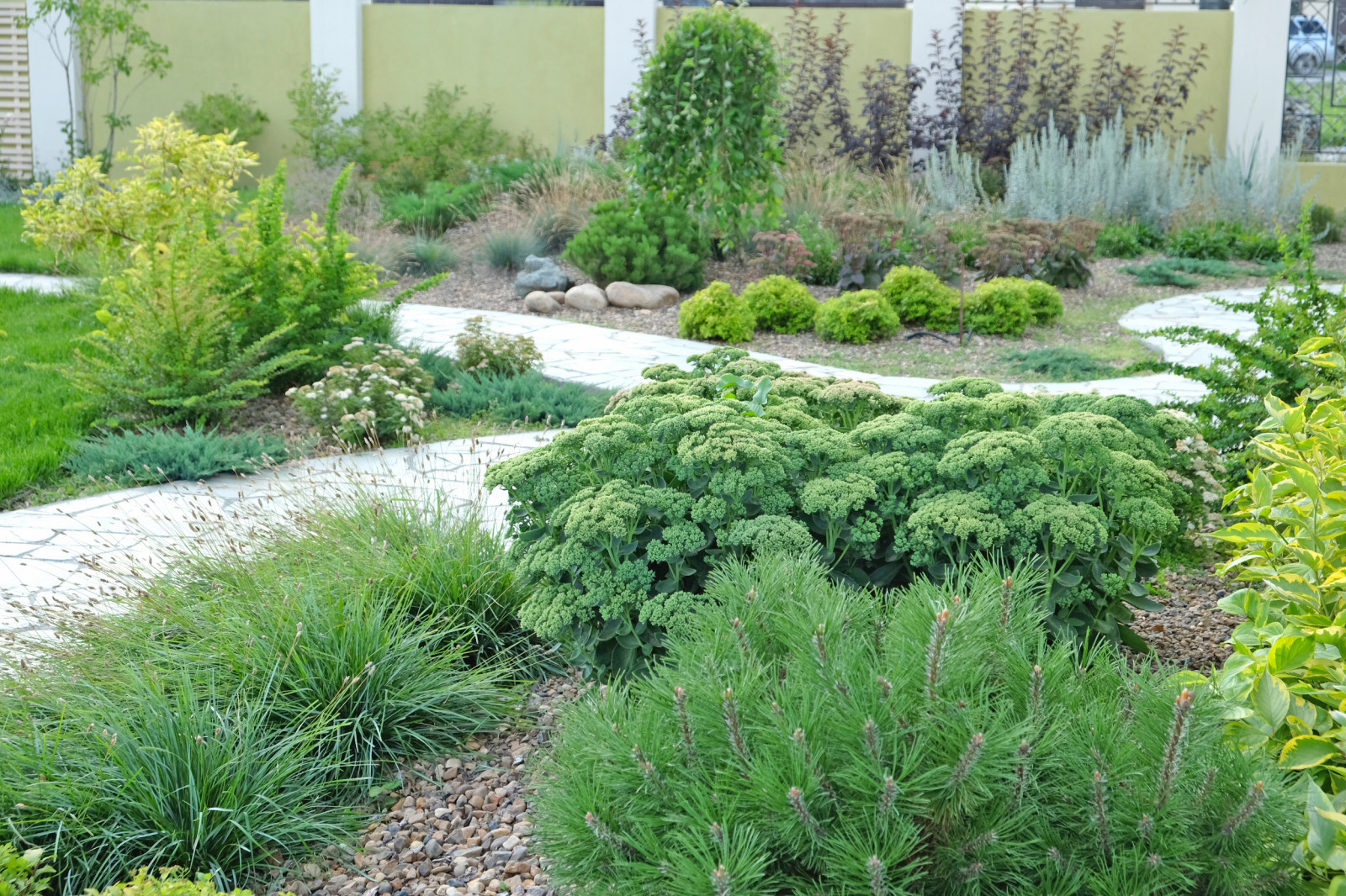 ДЫХАНИЕ ВЕТРА