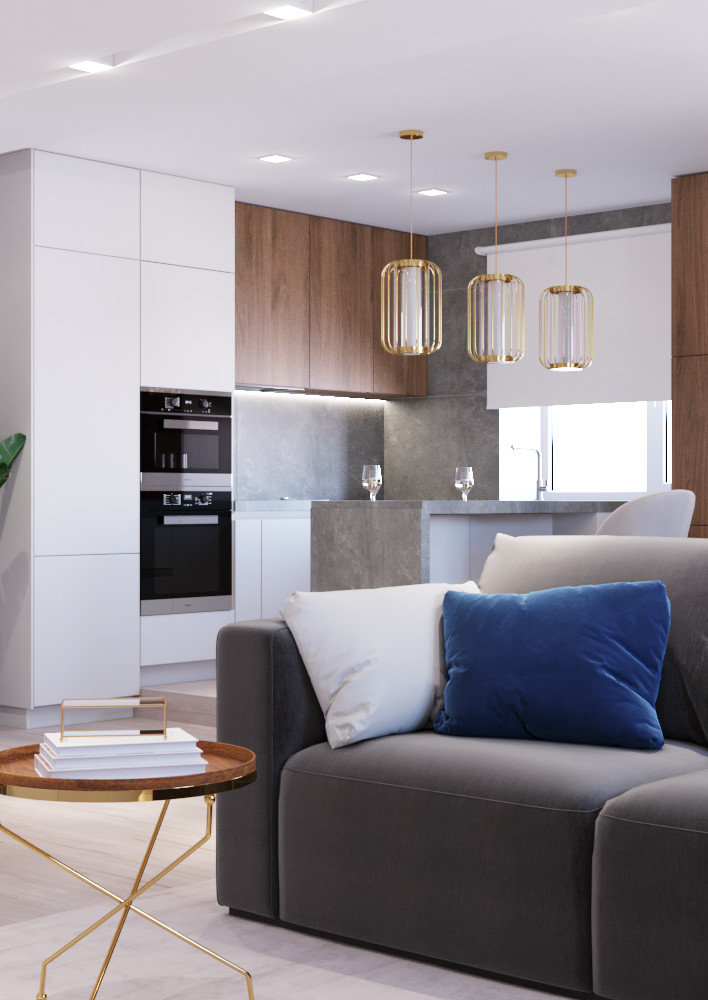 Кухня-гостиная