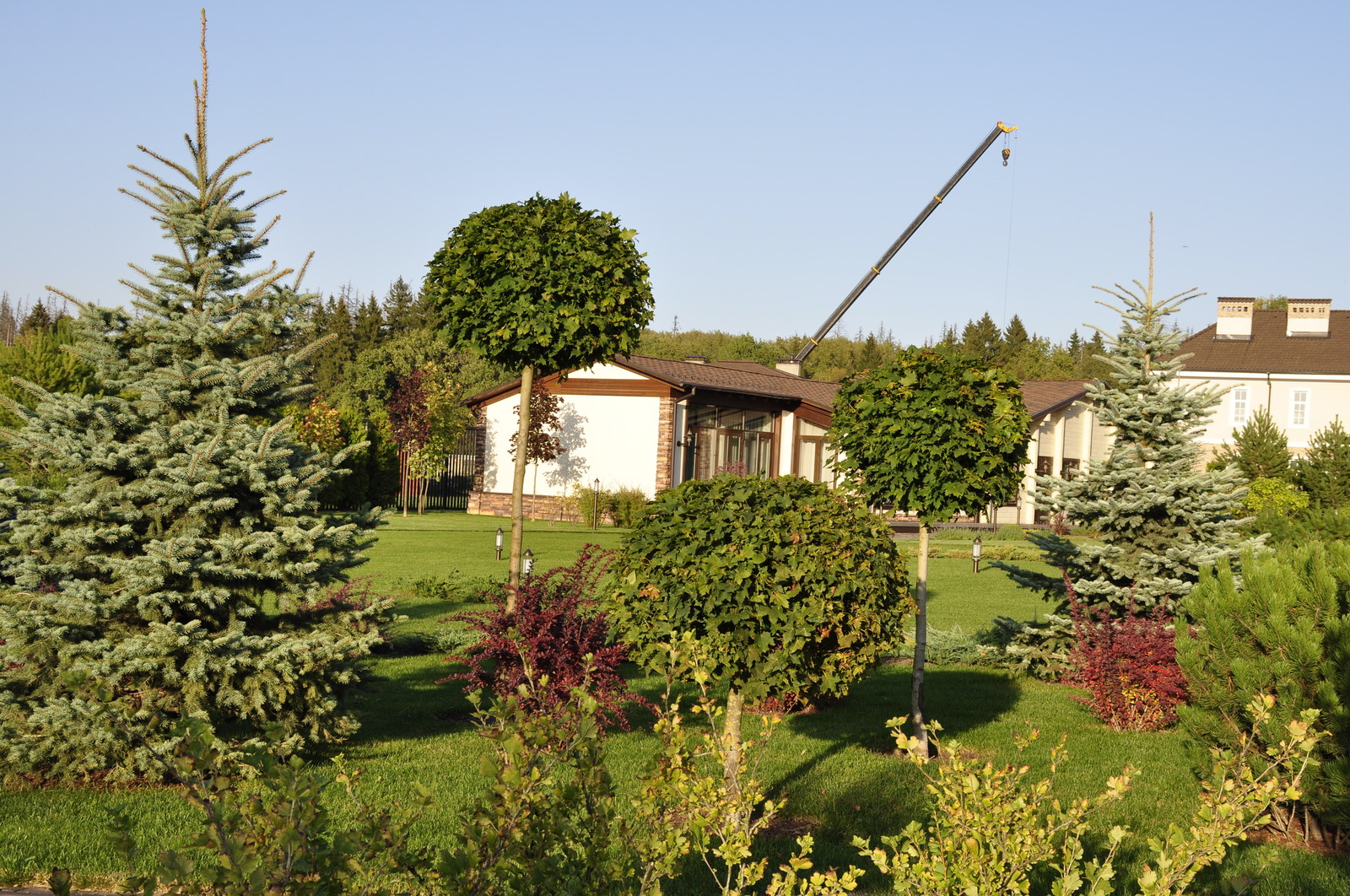 кп "Папушево" - Профессиональный уход за садом - 100% качество!