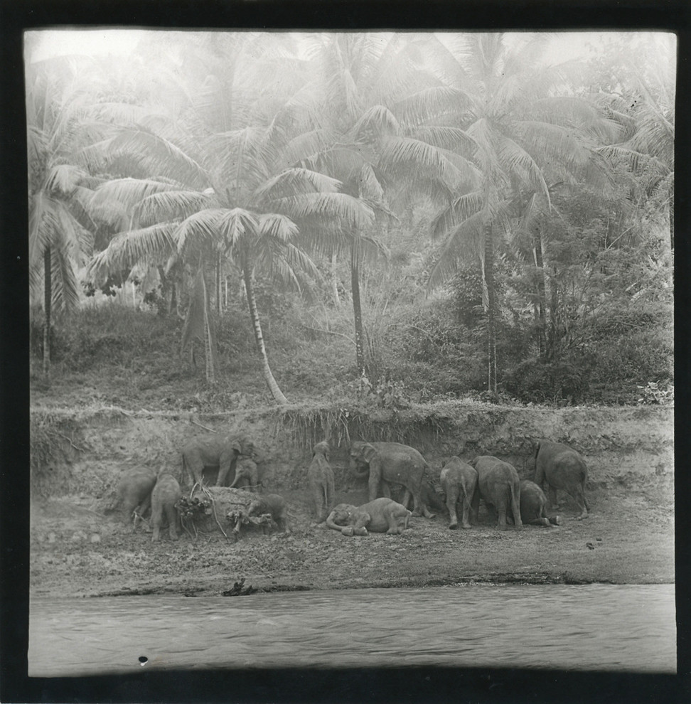 Авторские работы