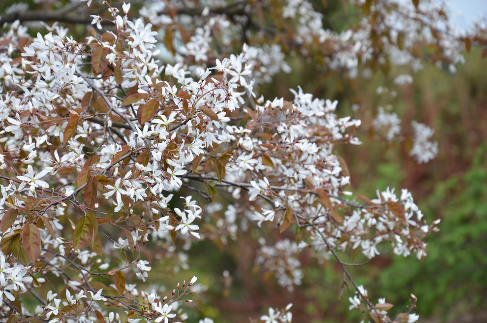 Вилла в стиле Райта. КП "Вымпел" Новорижское шоссе
