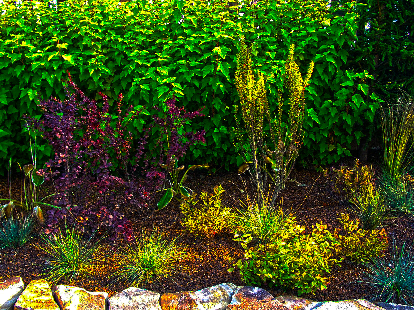 Дизайн участка - ландшафтная композиция на подпорной стенке.