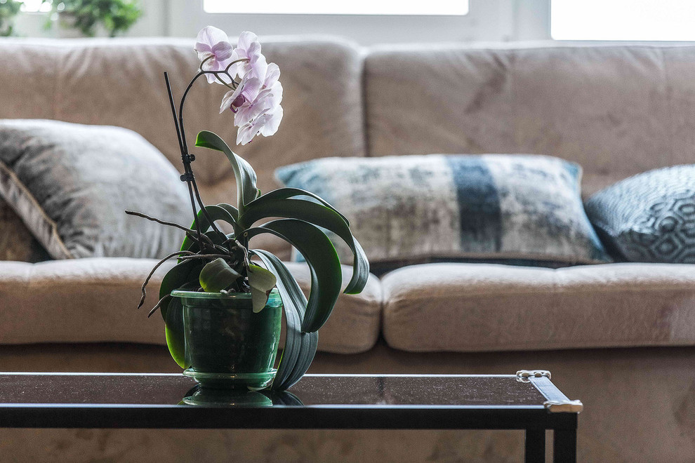 Интерьер с видом на Волгу