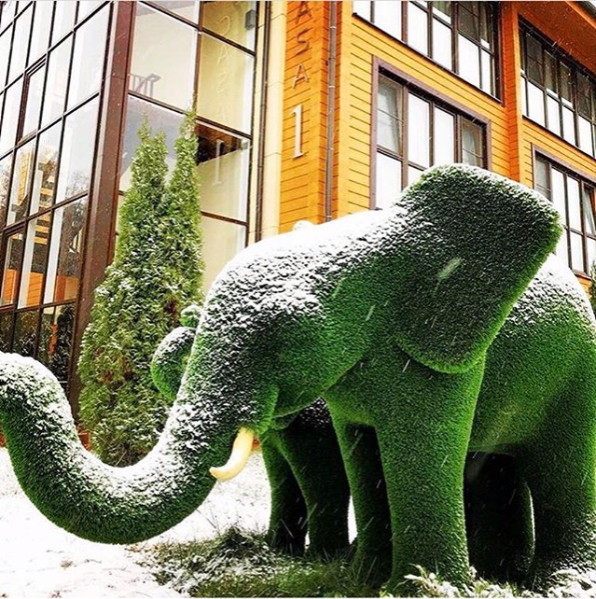 Топиари в пространстве