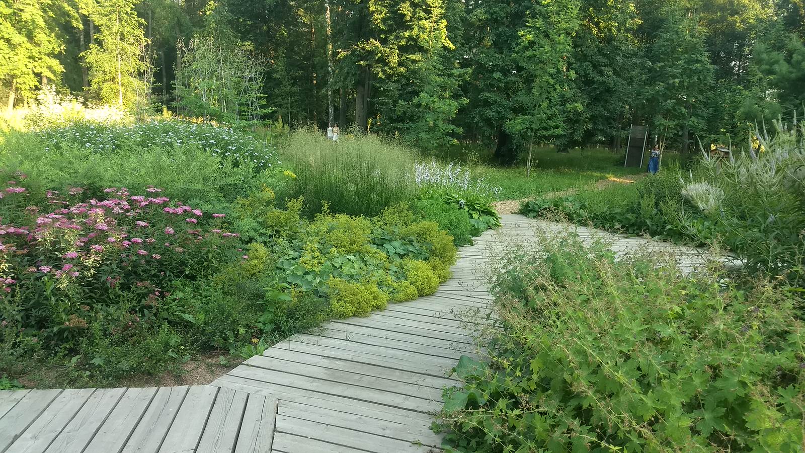 Обложка проекта: Медовая поляна