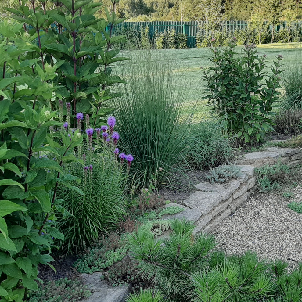 Лиатрис колосковый на подпорной стенке