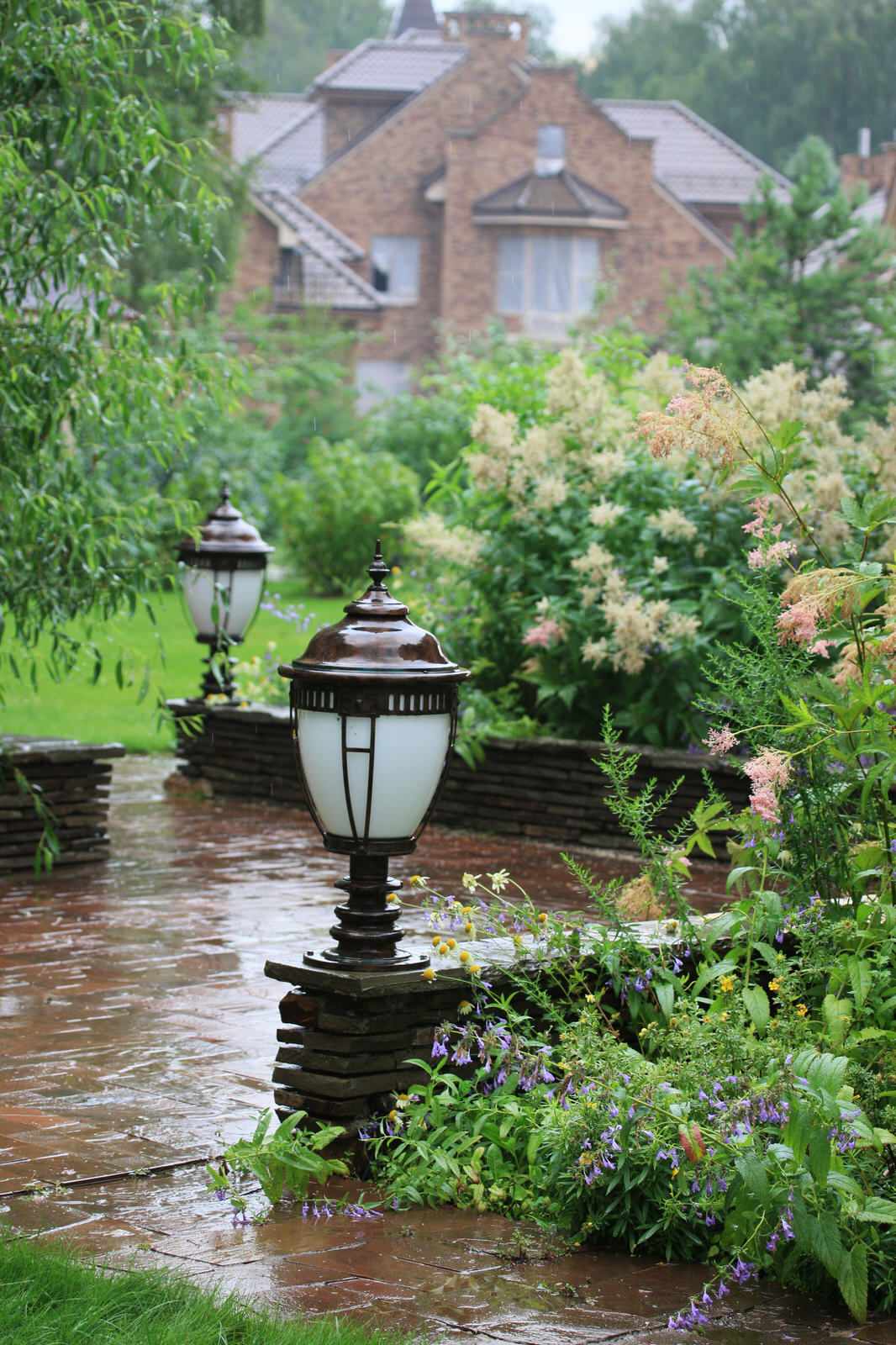 Бельгийка 01