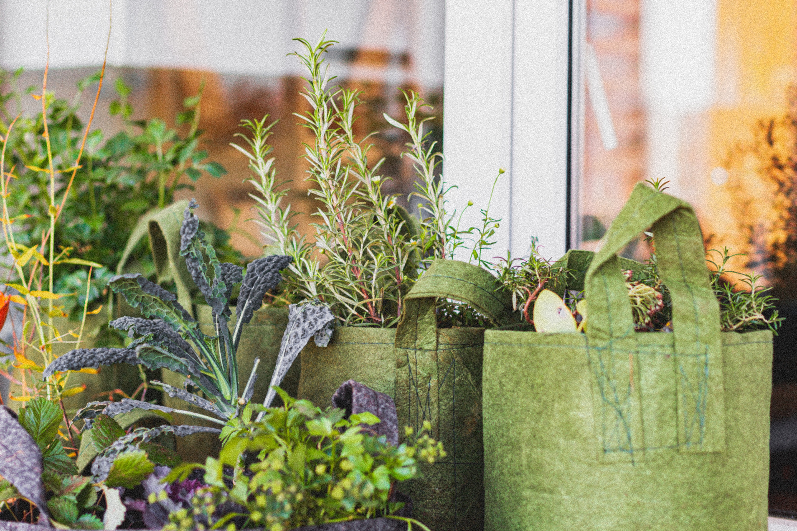 6 проектов: Что сажают на своих балконах французы