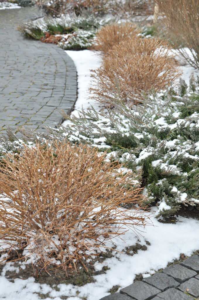 Сенькино московская обл