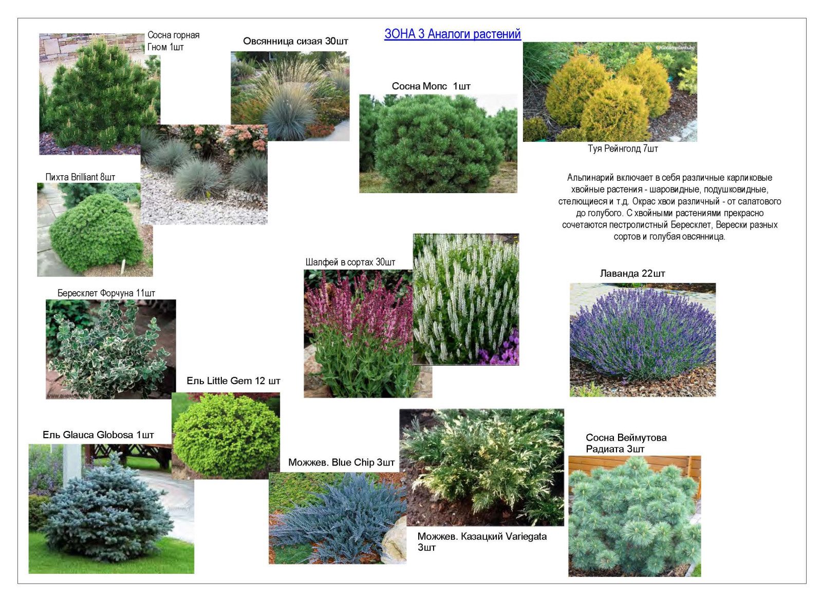 Ассортимент растений