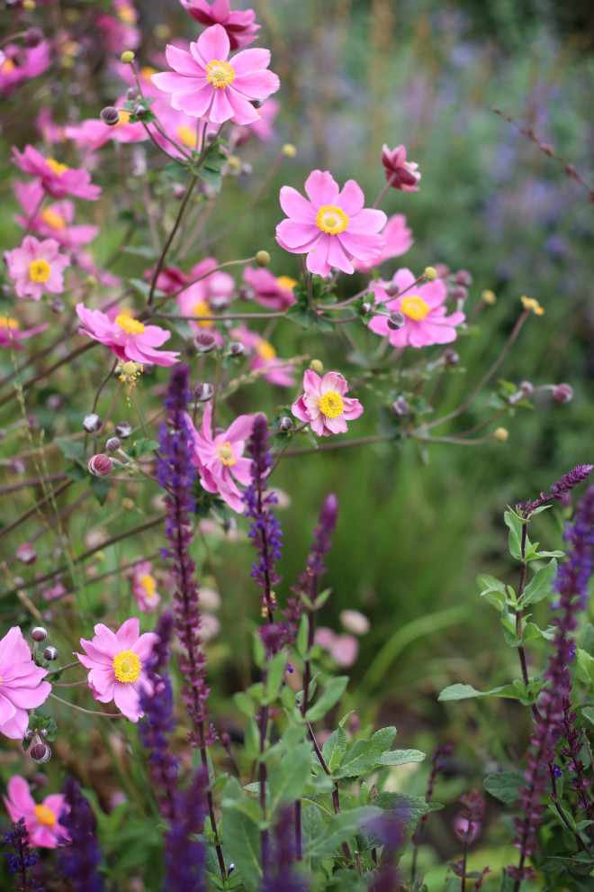 Цветники Советской площади