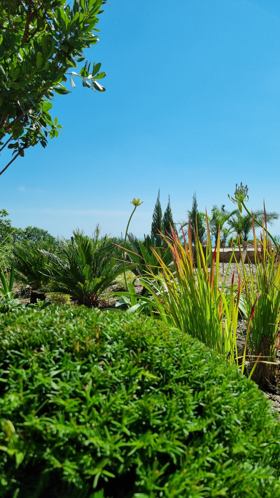 В лучах южного солнца.