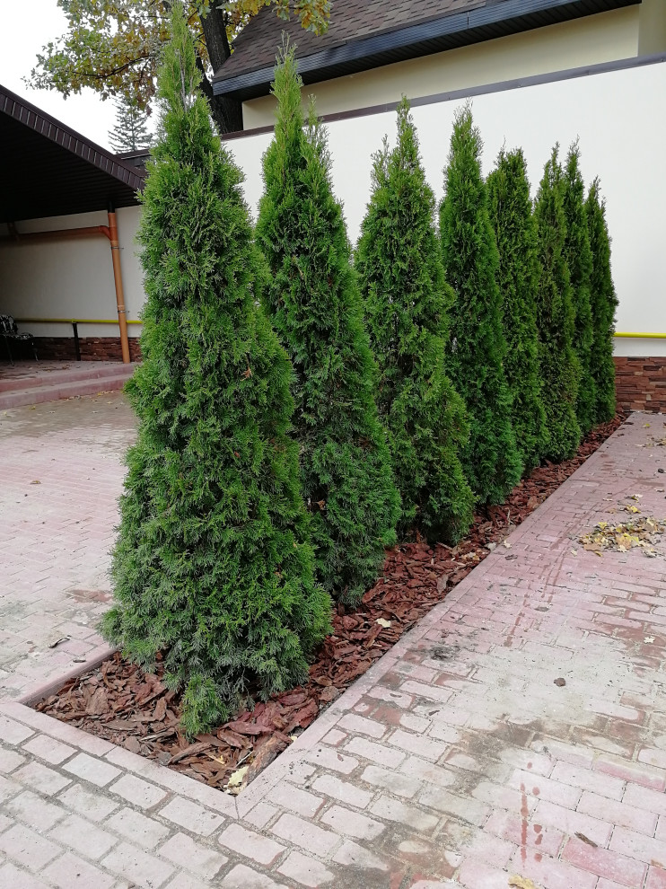 Реализация проект " Вечная любовь"