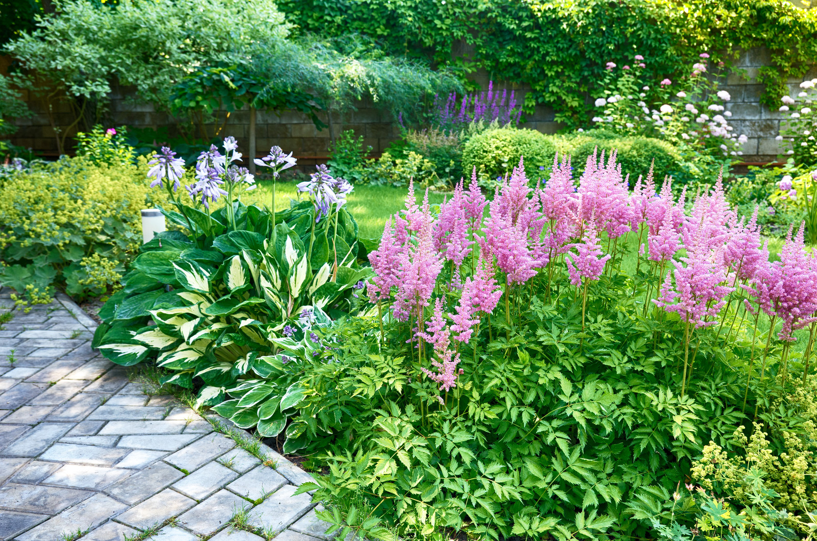 Обложка проекта: Фьюжн