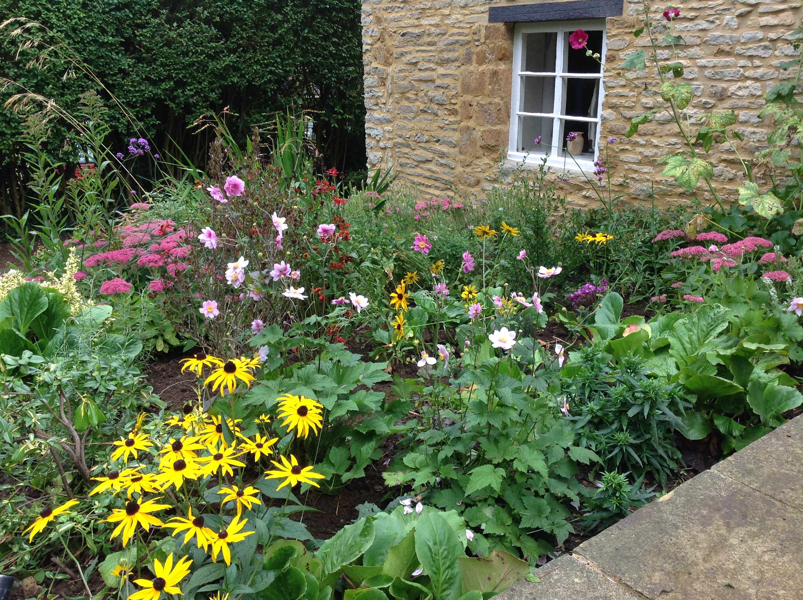 Хороший вопрос: Какие ядовитые растения (возможно) растут в вашем саду