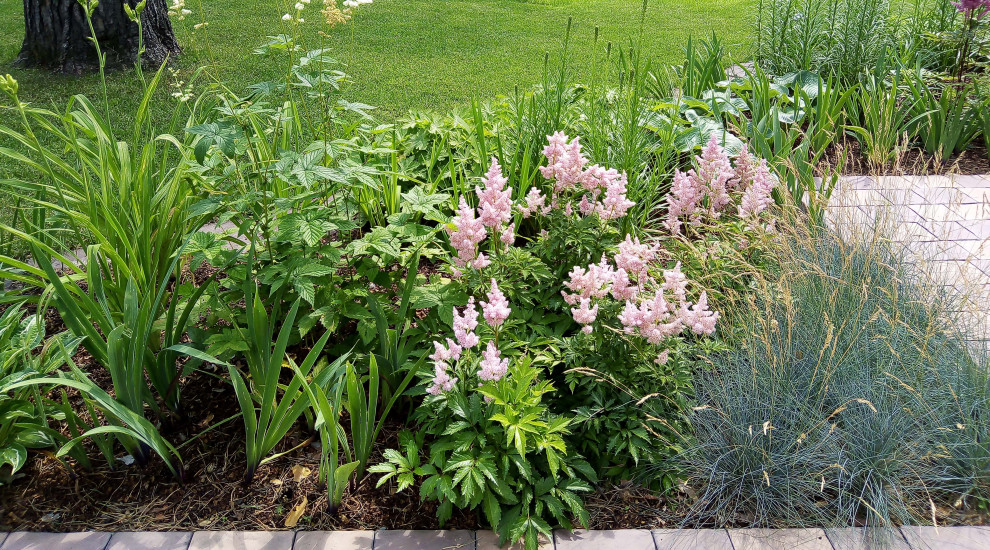 Цветники под пологом леса