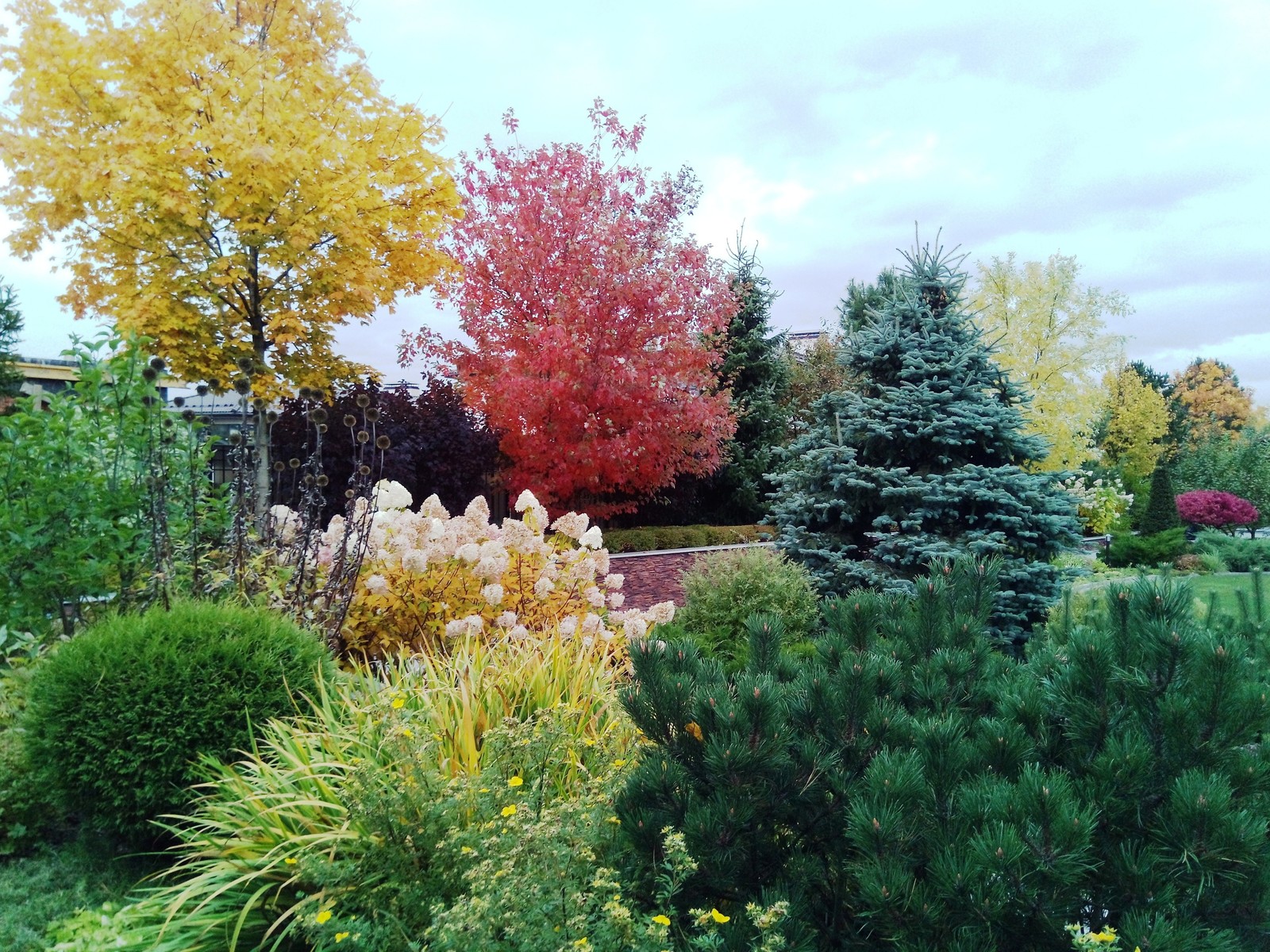 кп "Милениум" - Профессиональный уход за садом - 100% качество!