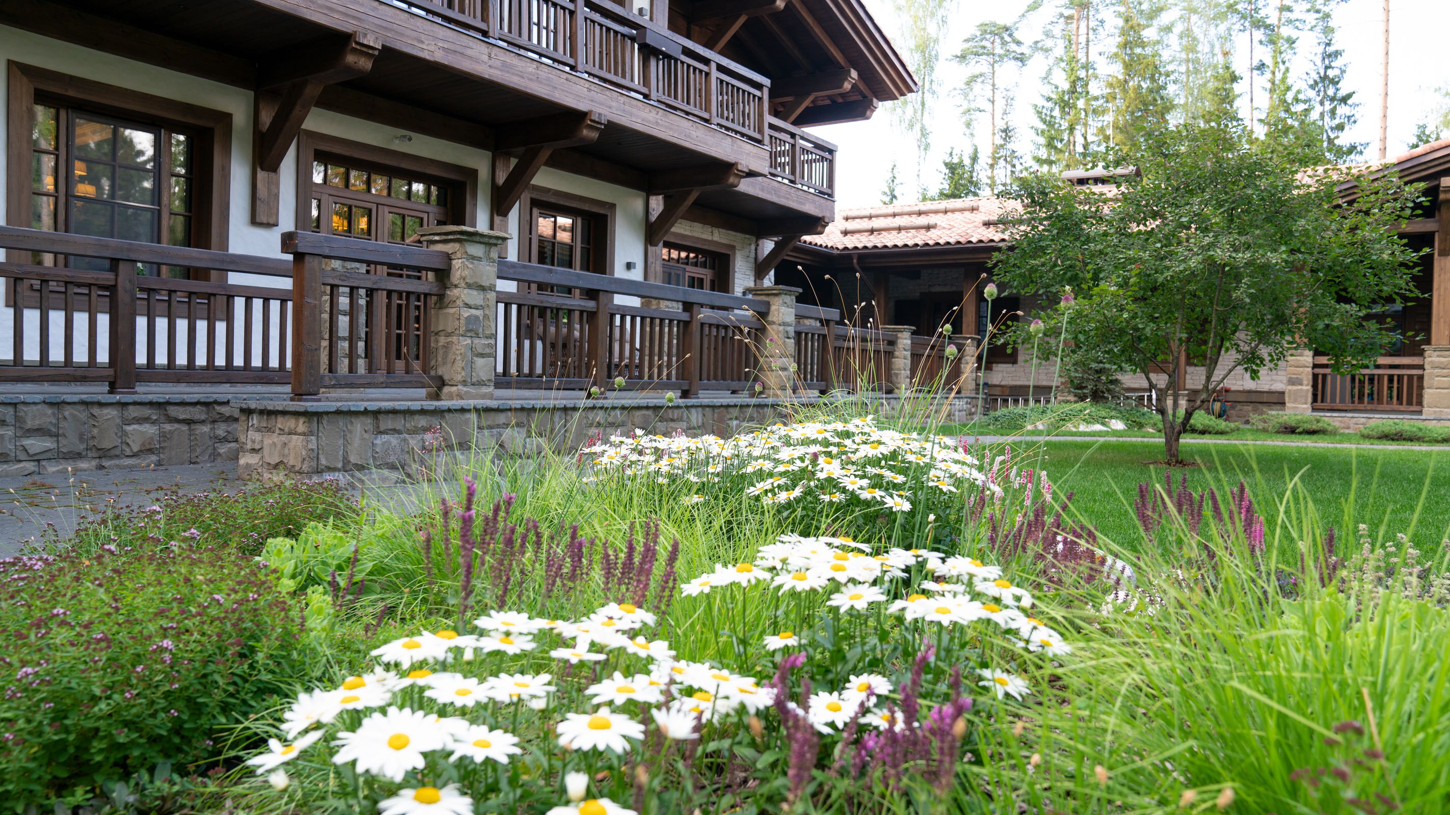 Мечта об Альпах. КП "Вымпел", Новорижское шоссе. 2017 г.