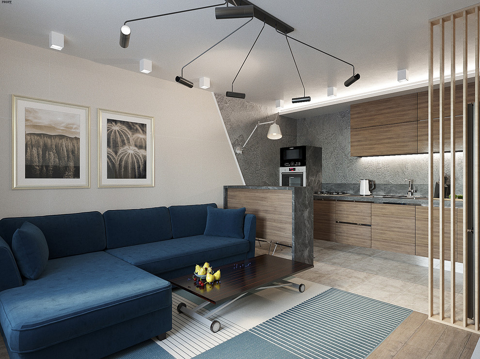 КВАРТИРА ДЛЯ МОЛОДОГО ЧЕЛОВЕКА