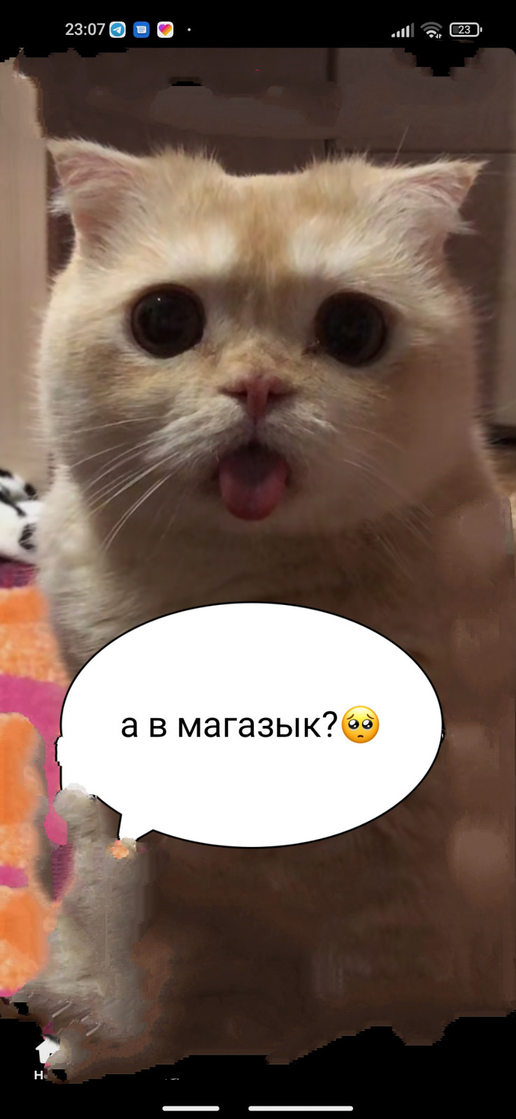 Ника Троценко